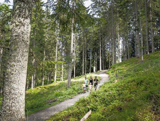 Wanderung im Wald in Flachau mit der ganzen Familie © Flachau Tourismus