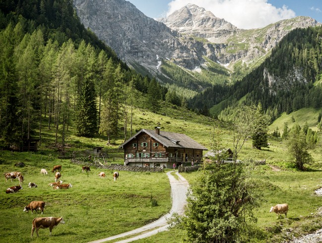 Wanderung zu den Marbachalmen © Flachau Tourismus