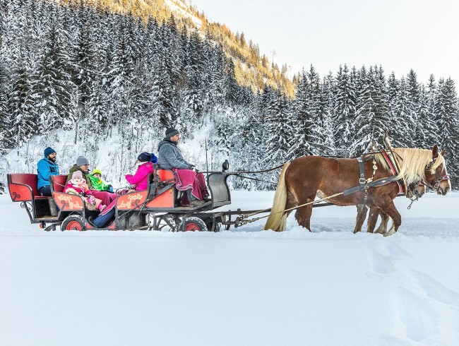 Pferdekutschenfahrten © Flachau Tourismus